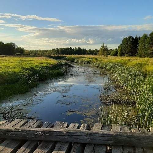 Photo #8635331