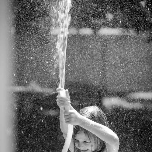 Photo #8635412