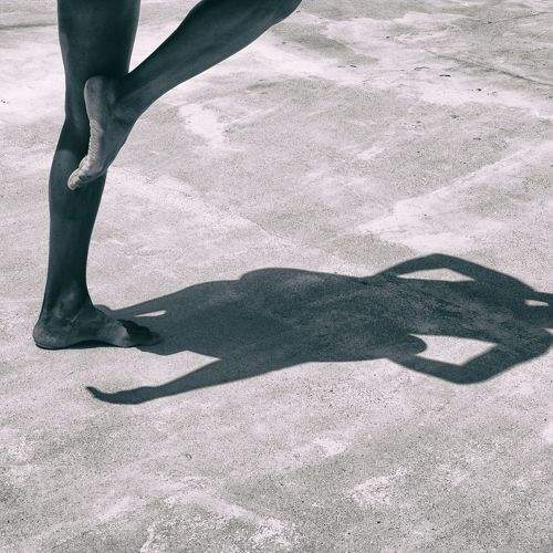 Photo #8635518