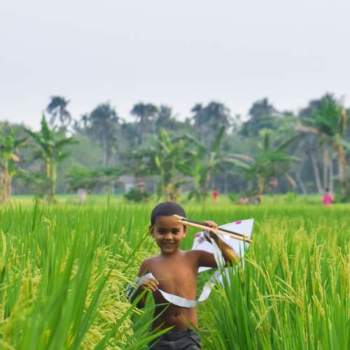 Photo #8635741