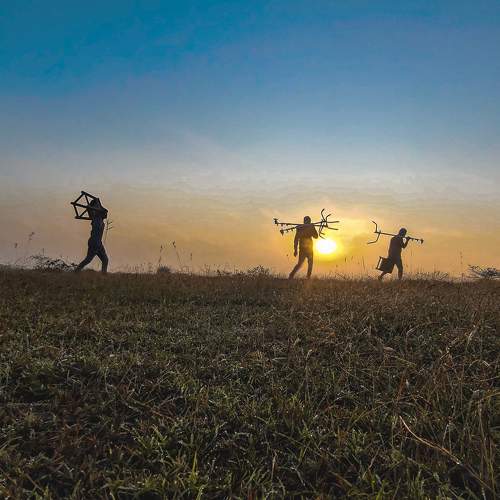 Photo #8635770