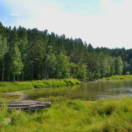 Photo #8635853