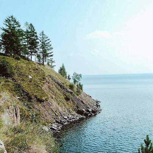 Photo #8635910
