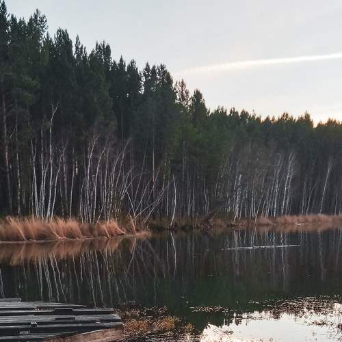 Photo #8635949