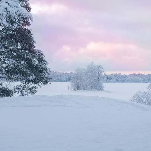Photo #8636163