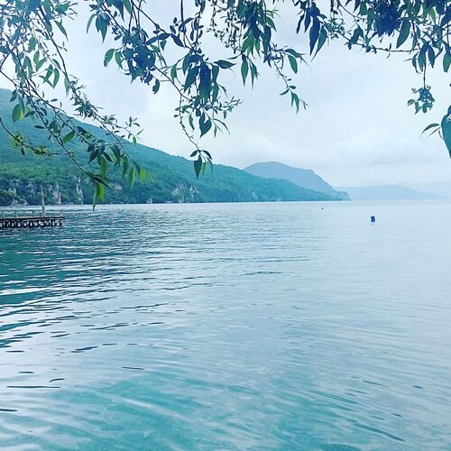 Photo #8636441