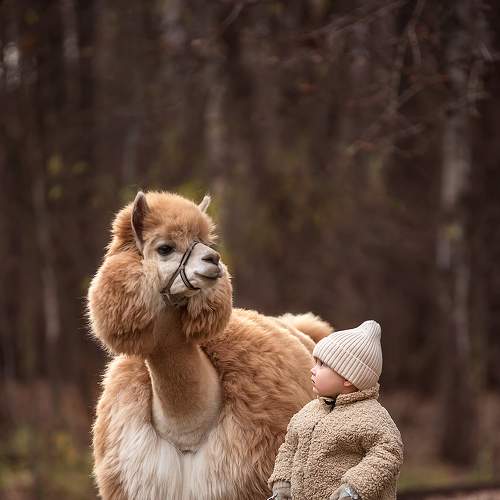 Фотография #8636553