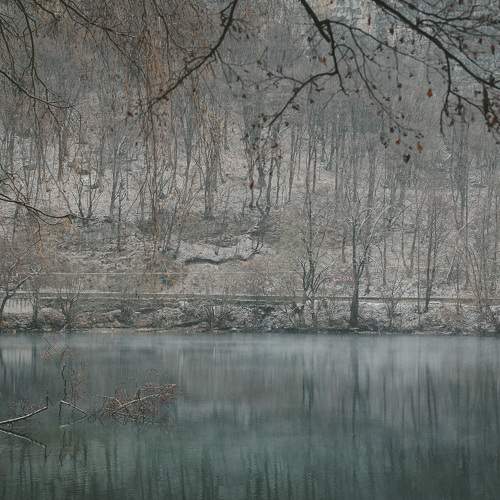 Photo #8636622