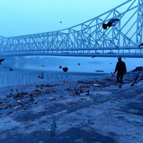 Photo #8636652