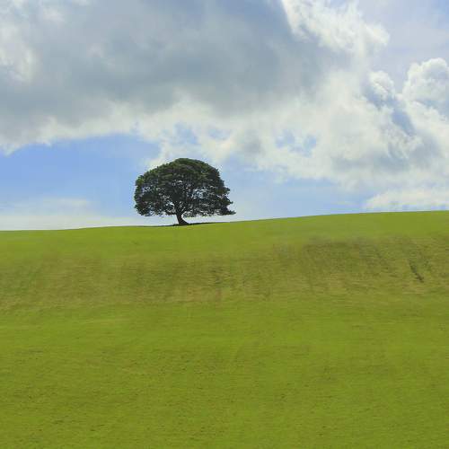 Photo #8636670