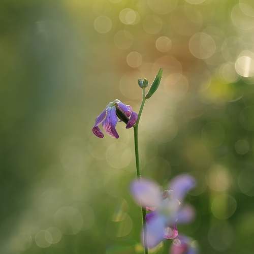 Photo #8636730