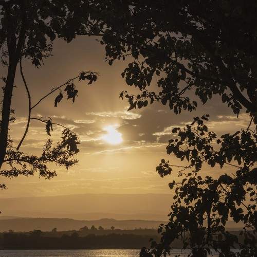 Photo #8636826
