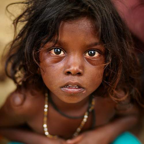 Photo #8636829