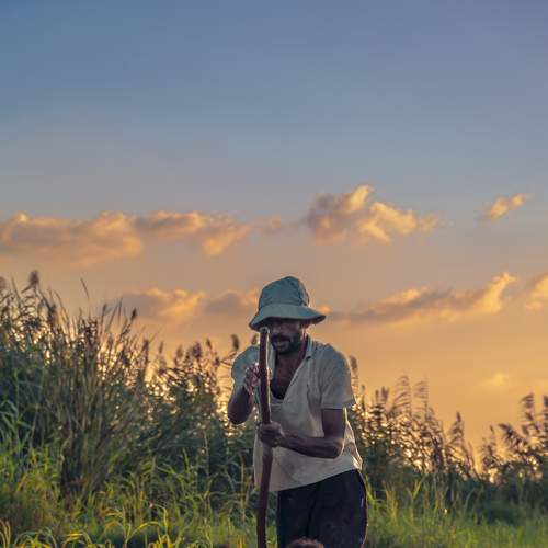 The fisherman