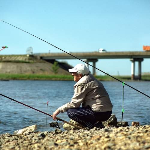Photo #8637604