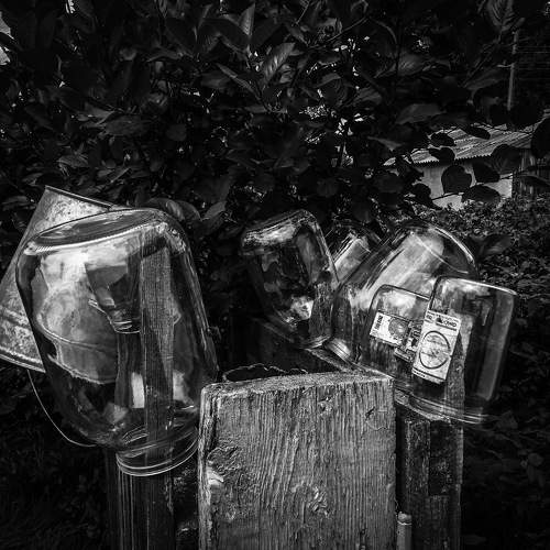 Подготовка к соленьям