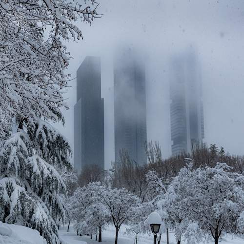 Photo #8639079