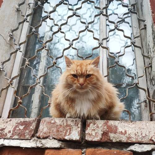 Photo #8639377
