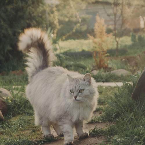 Photo #8639811