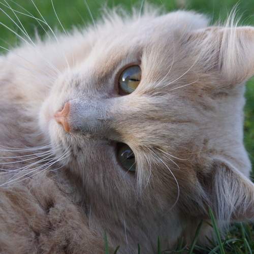 Photo #8639812