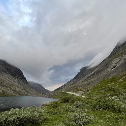Photo #8640083
