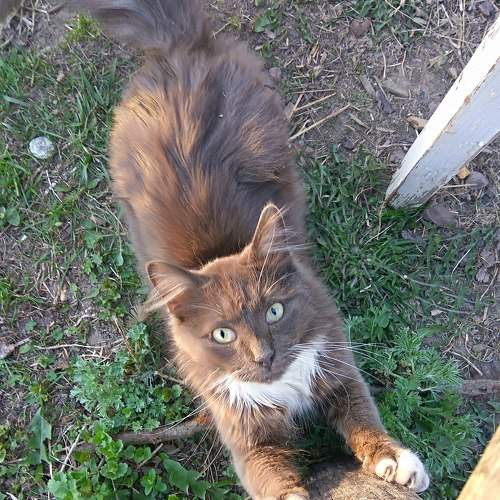 Photo #8640114