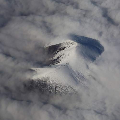 Photo #8640173