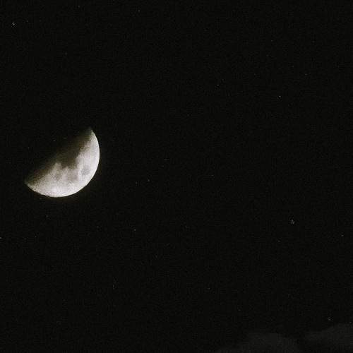 Photo #8640212
