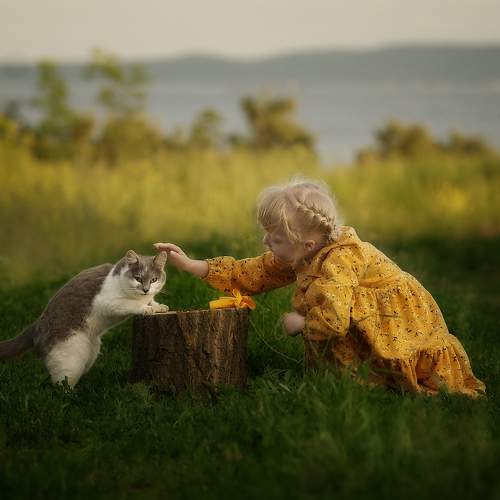 Photo #8640538