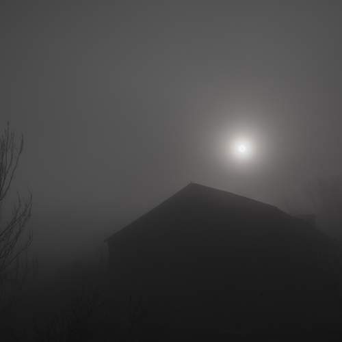 Photo #8640565
