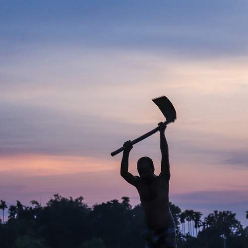 Photo #8641047