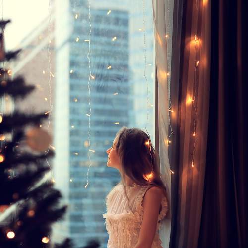 Photo #8641491
