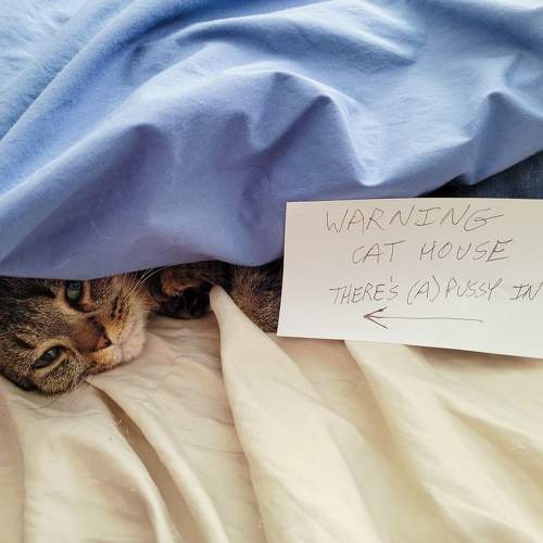 Photo #8641542
