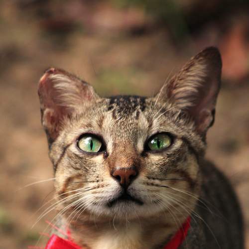 Photo #8641558