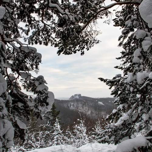 Photo #8641604