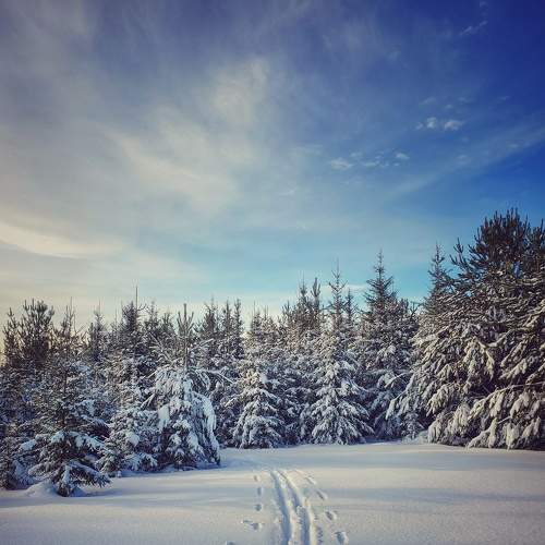 Photo #8641689