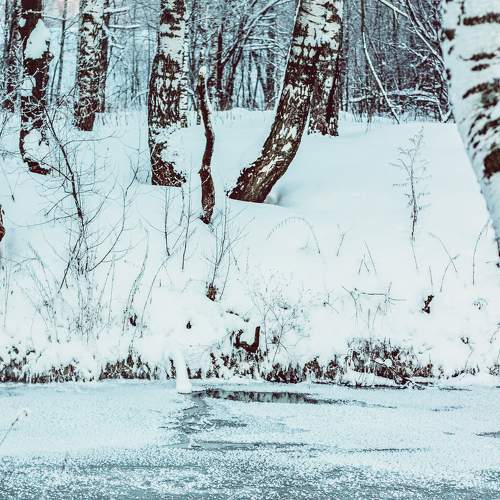 Photo #8642059