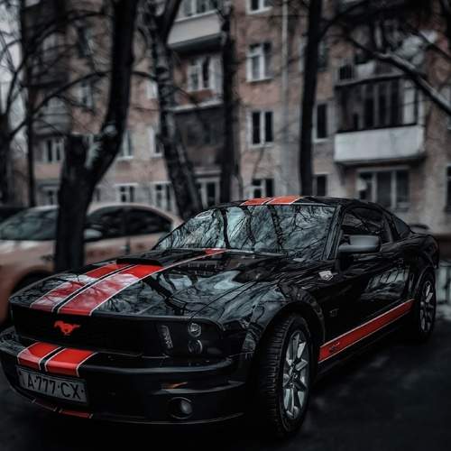 Photo #8642270
