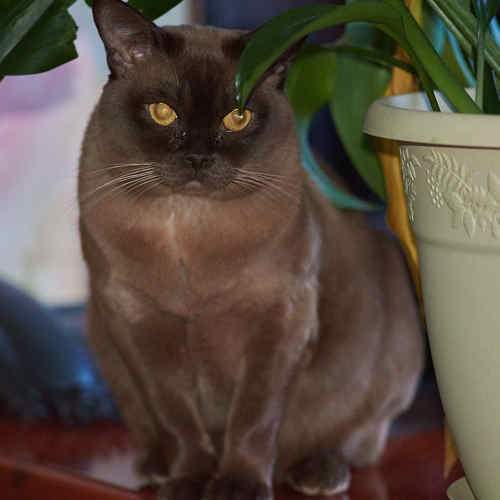 Photo #8642448