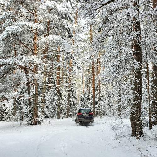 Photo #8642742