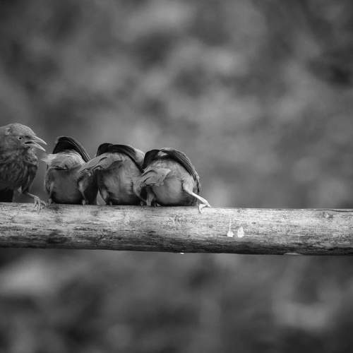 Photo #8642808