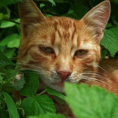 Photo #8642894
