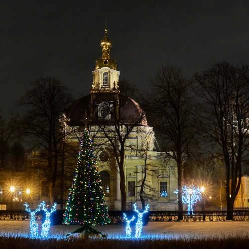 Photo #8643075
