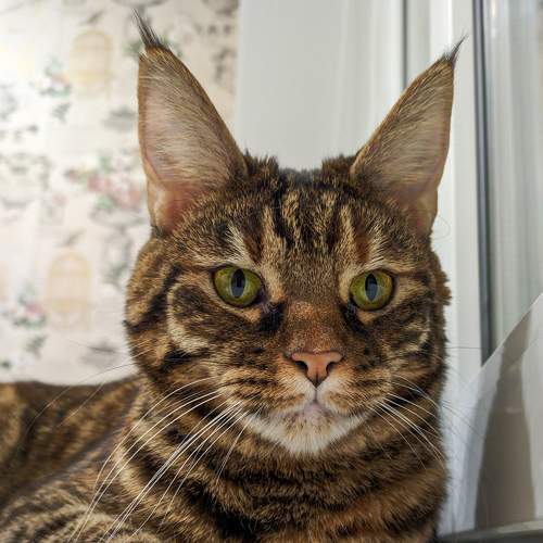 Photo #8643105