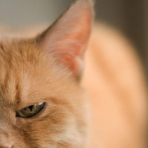 Photo #8643131