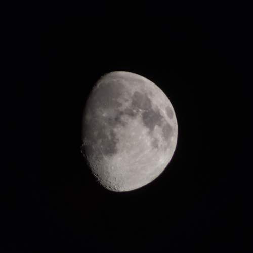 Photo #8643172