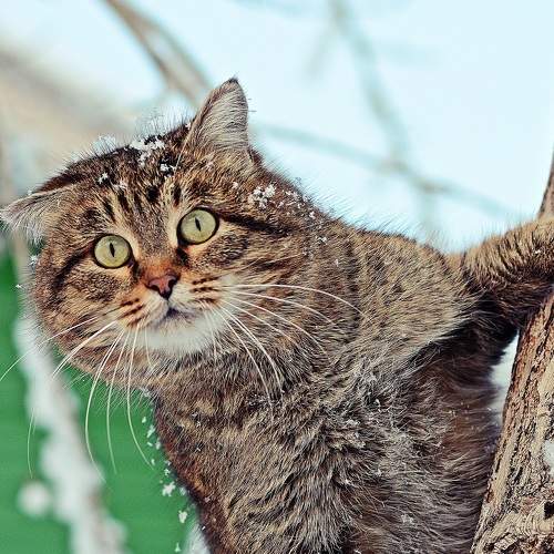 Photo #8643371