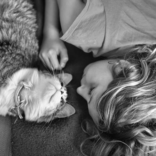 Photo #8643514