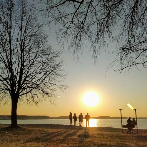 Photo #8643571