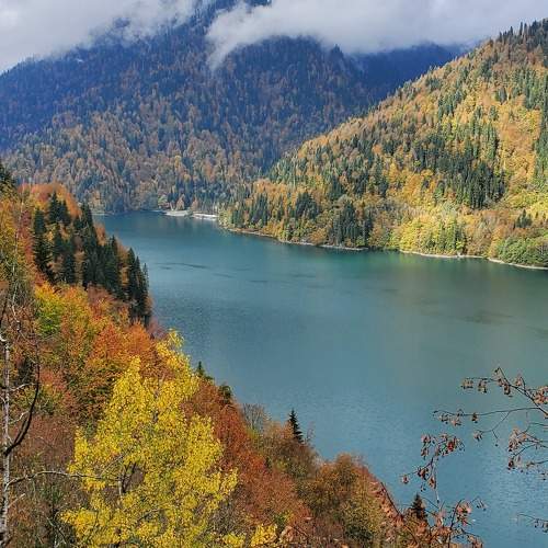 Photo #8643615